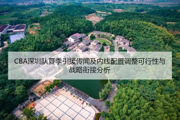 CBA深圳队夏季引援传闻及内线配置调整可行性与战略衔接分析