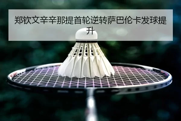 zheng-qin-wen-xin-xin-na-ti-shou-lun-ni-zhuan-sa-ba-lun-ka-fa-qiu-ti-sheng-3-528.jpg